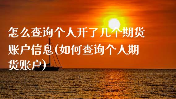 怎么查询个人开了几个期货账户信息(如何查询个人期货账户)_https://gjqh.wpmee.com_期货平台_第1张