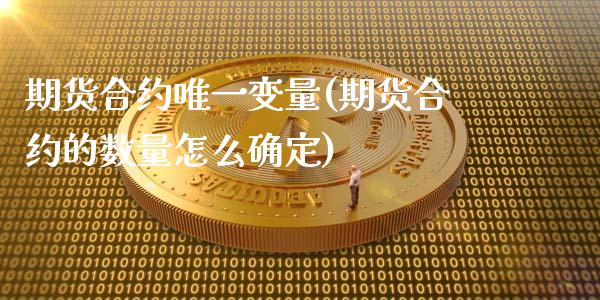 期货合约唯一变量(期货合约的数量怎么确定)_https://gjqh.wpmee.com_期货新闻_第1张