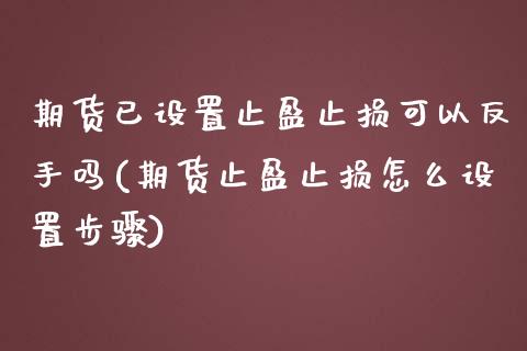 期货已设置止盈止损可以反手吗(期货止盈止损怎么设置步骤)_https://gjqh.wpmee.com_期货开户_第1张