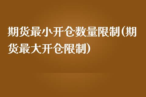 期货最小开仓数量限制(期货最大开仓限制)_https://gjqh.wpmee.com_国际期货_第1张