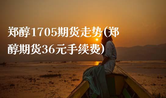 郑醇1705期货走势(郑醇期货36元手续费)_https://gjqh.wpmee.com_期货平台_第1张