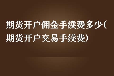 期货开户佣金手续费多少(期货开户交易手续费)_https://gjqh.wpmee.com_期货百科_第1张