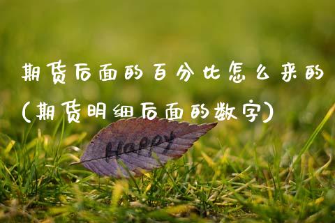 期货后面的百分比怎么来的(期货明细后面的数字)_https://gjqh.wpmee.com_期货百科_第1张