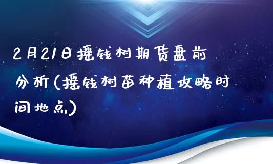 2月21日摇钱树期货盘前分析(摇钱树苗种植攻略时间地点)_https://gjqh.wpmee.com_期货百科_第1张