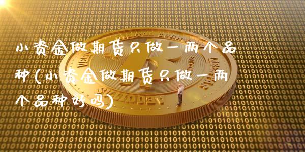 小资金做期货只做一两个品种(小资金做期货只做一两个品种好吗)_https://gjqh.wpmee.com_期货新闻_第1张