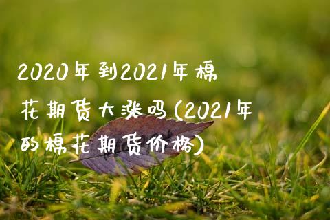 2020年到2021年棉花期货大涨吗(2021年的棉花期货价格)_https://gjqh.wpmee.com_期货新闻_第1张