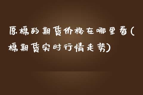 原棉的期货价格在哪里看(棉期货实时行情走势)_https://gjqh.wpmee.com_期货百科_第1张