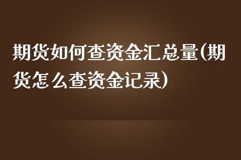 期货如何查资金汇总量(期货怎么查资金记录)_https://gjqh.wpmee.com_期货开户_第1张