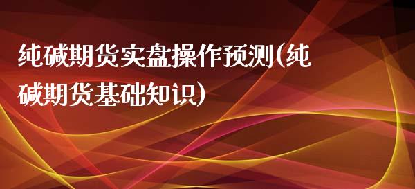 纯碱期货实盘操作预测(纯碱期货基础知识)_https://gjqh.wpmee.com_国际期货_第1张