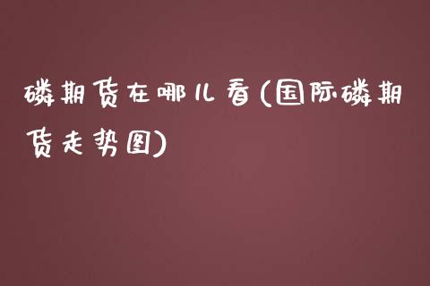 磷期货在哪儿看(国际磷期货走势图)_https://gjqh.wpmee.com_国际期货_第1张