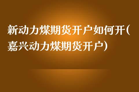 新动力煤期货开户如何开(嘉兴动力煤期货开户)_https://gjqh.wpmee.com_期货开户_第1张