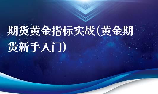 期货黄金指标实战(黄金期货新手入门)_https://gjqh.wpmee.com_国际期货_第1张