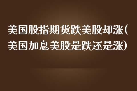 美国股指期货跌美股却涨(美国加息美股是跌还是涨)_https://gjqh.wpmee.com_期货百科_第1张