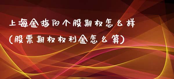 上海金指阳个股期权怎么样(股票期权权利金怎么算)_https://gjqh.wpmee.com_期货新闻_第1张