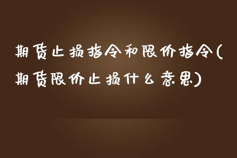 期货止损指令和限价指令(期货限价止损什么意思)_https://gjqh.wpmee.com_期货百科_第1张