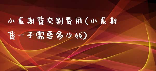 小麦期货交割费用(小麦期货一手需要多少钱)_https://gjqh.wpmee.com_国际期货_第1张