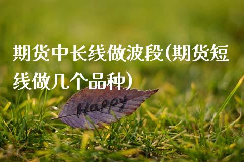 期货中长线做波段(期货短线做几个品种)_https://gjqh.wpmee.com_期货平台_第1张