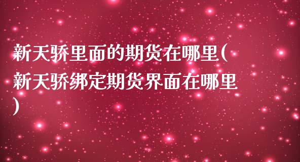 新天骄里面的期货在哪里(新天骄绑定期货界面在哪里)_https://gjqh.wpmee.com_期货开户_第1张