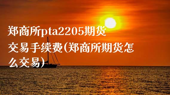 郑商所pta2205期货交易手续费(郑商所期货怎么交易)_https://gjqh.wpmee.com_期货平台_第1张