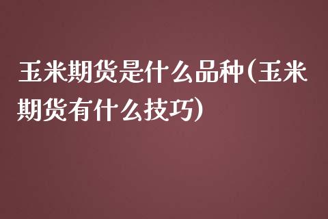 玉米期货是什么品种(玉米期货有什么技巧)_https://gjqh.wpmee.com_期货开户_第1张