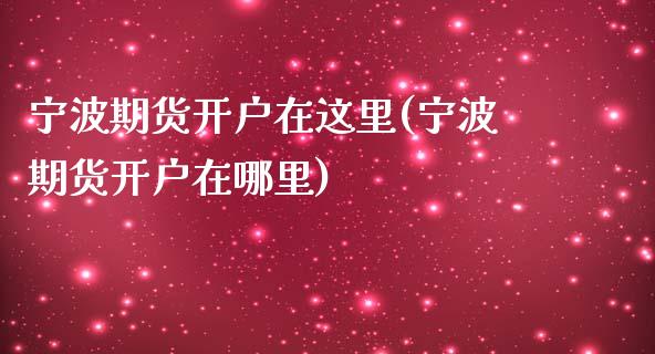 宁波期货开户在这里(宁波期货开户在哪里)_https://gjqh.wpmee.com_期货新闻_第1张