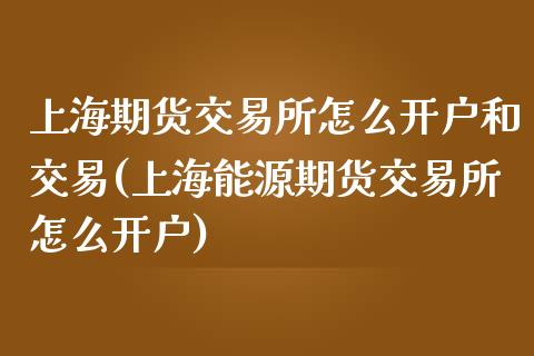 上海期货交易所怎么开户和交易(上海能源期货交易所怎么开户)_https://gjqh.wpmee.com_期货平台_第1张