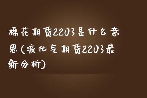 棉花期货2203是什么意思(液化气期货2203最新分析)_https://gjqh.wpmee.com_期货新闻_第1张