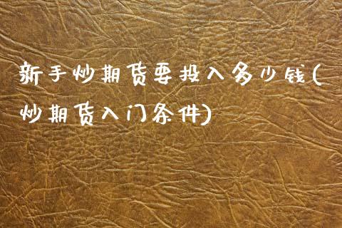 新手炒期货要投入多少钱(炒期货入门条件)_https://gjqh.wpmee.com_国际期货_第1张