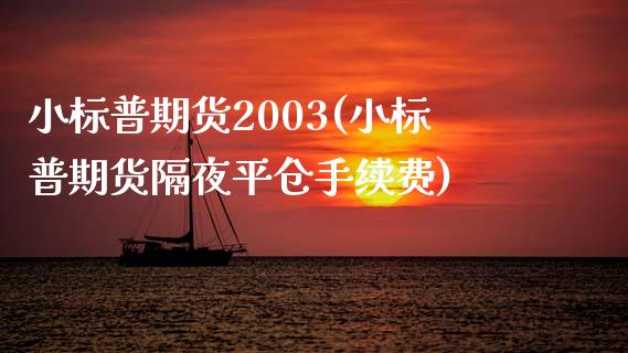 小标普期货2003(小标普期货隔夜平仓手续费)_https://gjqh.wpmee.com_期货平台_第1张