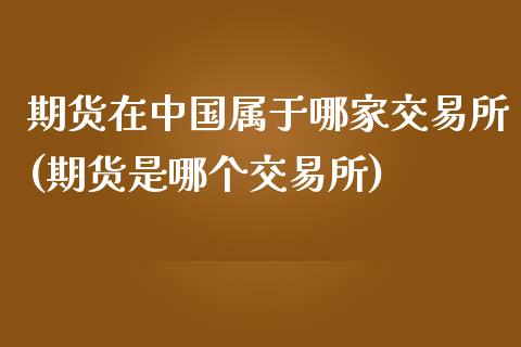 期货在中国属于哪家交易所(期货是哪个交易所)_https://gjqh.wpmee.com_国际期货_第1张