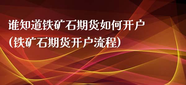 谁知道铁矿石期货如何开户(铁矿石期货开户流程)_https://gjqh.wpmee.com_国际期货_第1张