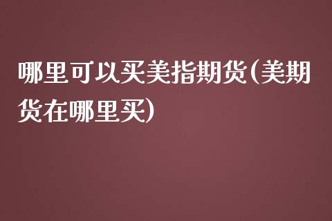 哪里可以买美指期货(美期货在哪里买)_https://gjqh.wpmee.com_国际期货_第1张