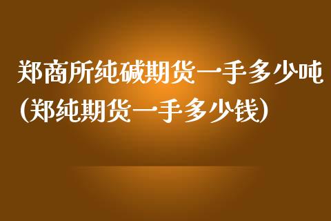 郑商所纯碱期货一手多少吨(郑纯期货一手多少钱)_https://gjqh.wpmee.com_期货百科_第1张