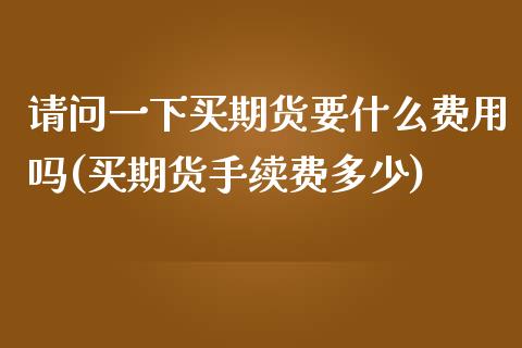 请问一下买期货要什么费用吗(买期货手续费多少)_https://gjqh.wpmee.com_国际期货_第1张