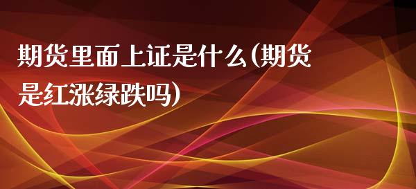 期货里面上证是什么(期货是红涨绿跌吗)_https://gjqh.wpmee.com_国际期货_第1张