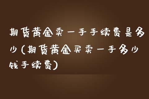 期货黄金卖一手手续费是多少(期货黄金买卖一手多少钱手续费)_https://gjqh.wpmee.com_期货百科_第1张