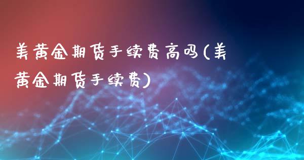 美黄金期货手续费高吗(美黄金期货手续费)_https://gjqh.wpmee.com_期货平台_第1张