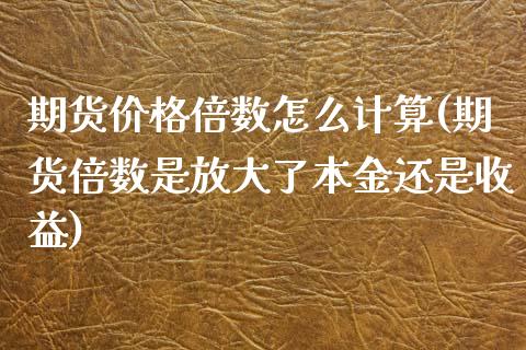 期货价格倍数怎么计算(期货倍数是放大了本金还是收益)_https://gjqh.wpmee.com_国际期货_第1张